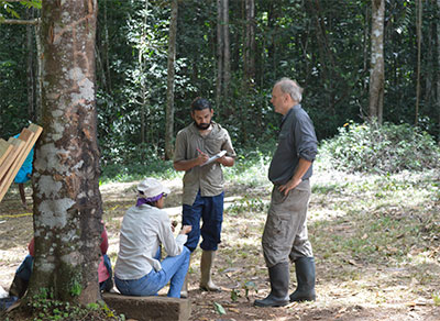 New Discoveries in the Forests of Guyana