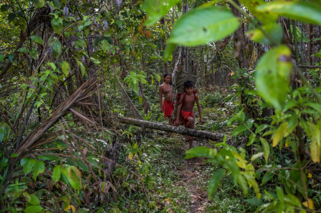 Indigenous people may be the Amazon’s last hope