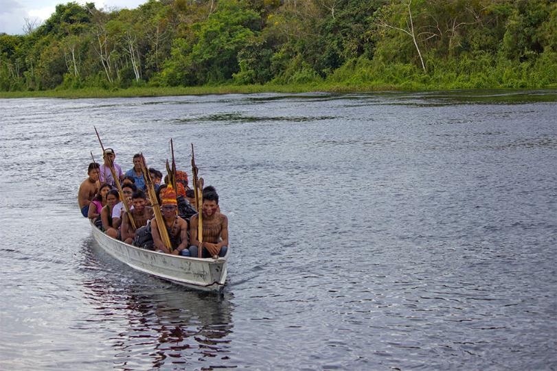 Endangered Amazon Image