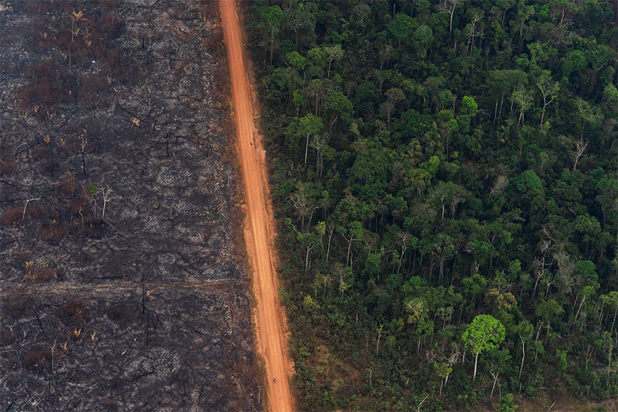 In Brazil's rainforests, the worst fires are likely still to come
