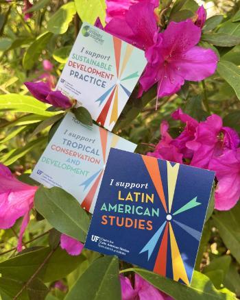 Three stickers sit in an azalea bush. The stickers support Latin American Studies, Tropical Conservation & Development, and Sustainable Development Practice