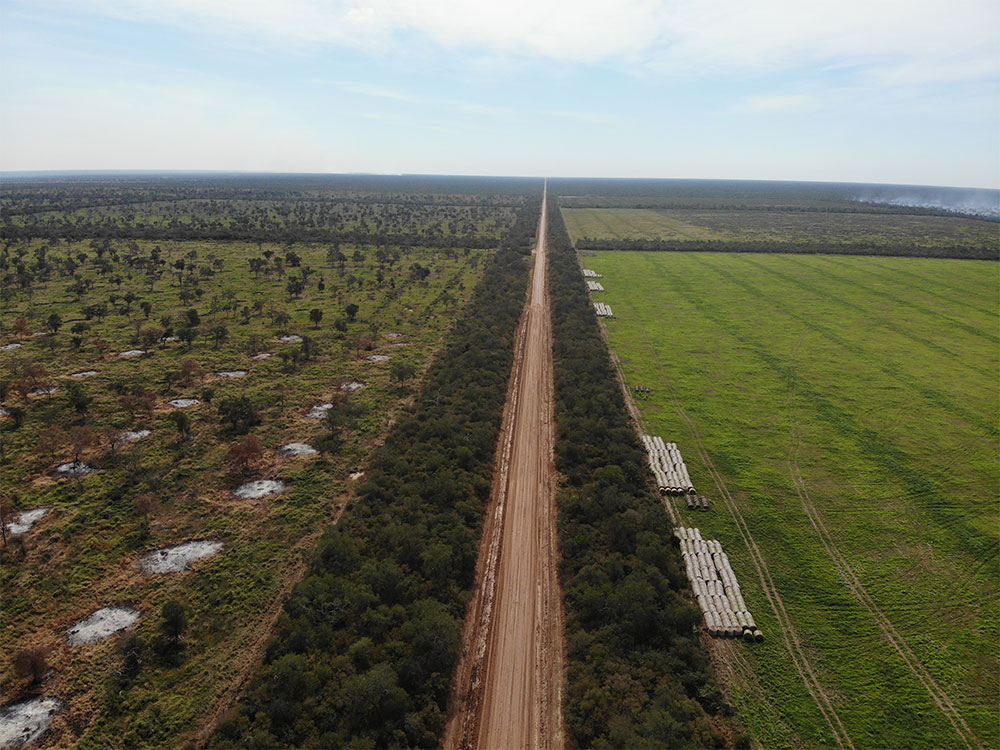 South America's second-largest forest is also burning - and 'environmentally friendly' charcoal is subsidizing its destruction