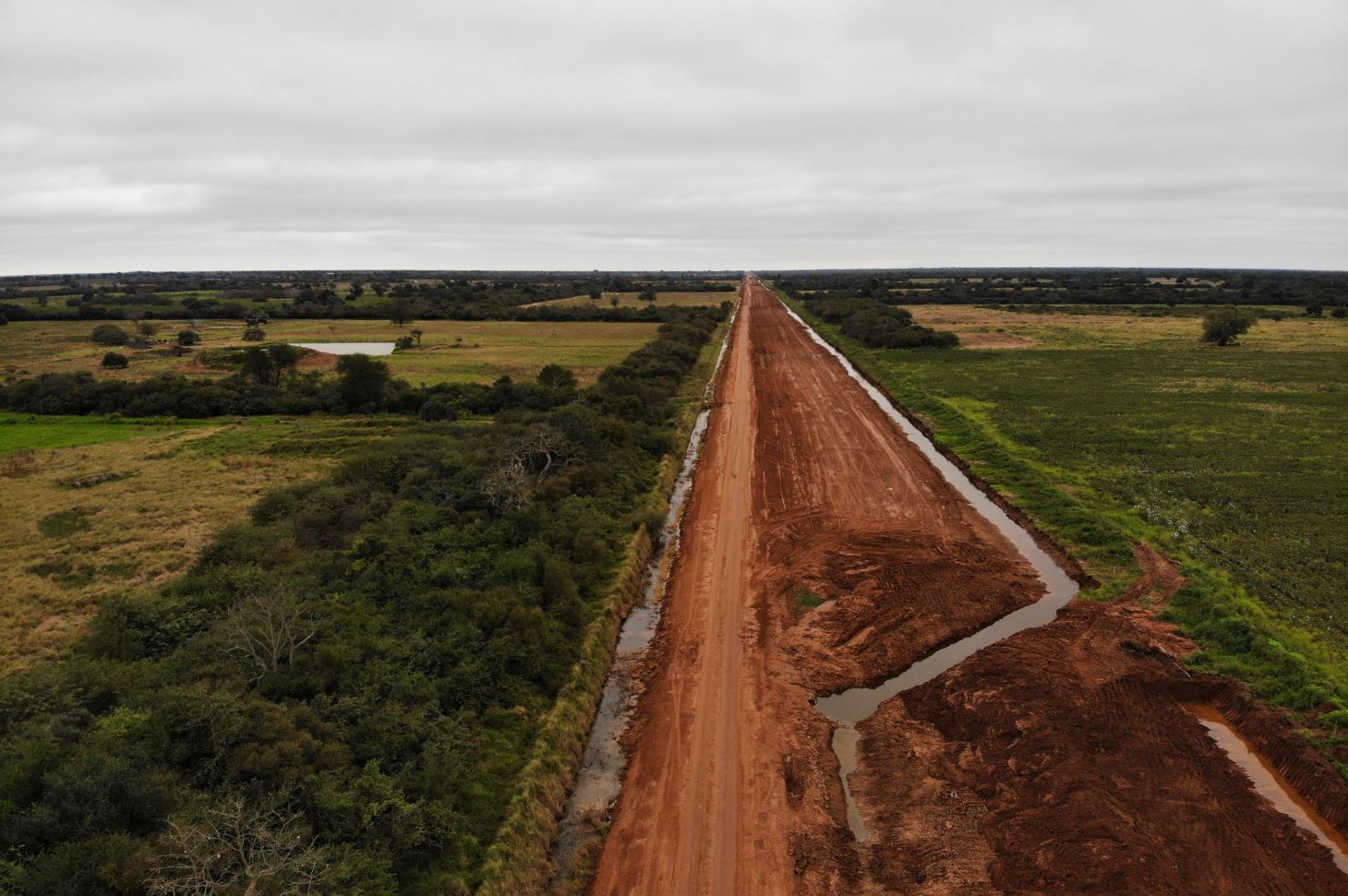 Mennonites helped turn Paraguay into a mega beef producer – indigenous people may pay the price