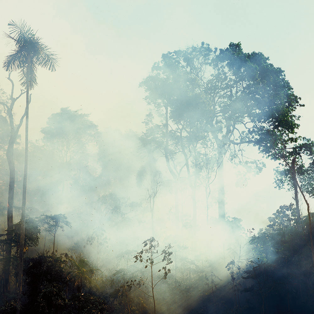 “We can have conservation and development in the Amazon.”